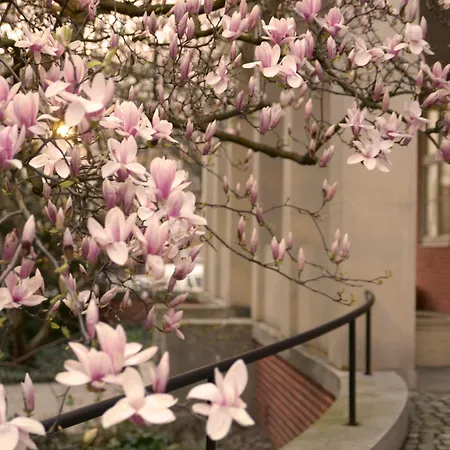 Energetic In Center! דירה ורוצלב