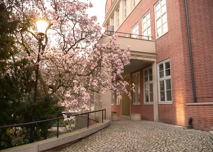 Energetic In Center! * 브로츠와프