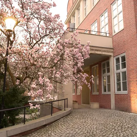 Energetic In Center! * Breslavia