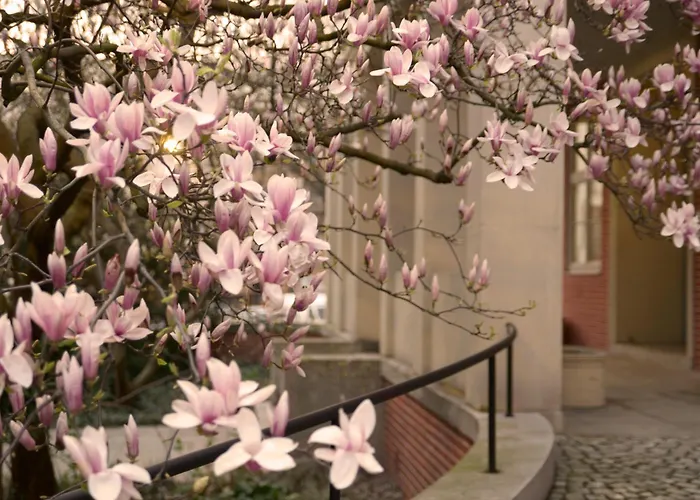 Energetic In Center! Appartement Wrocław